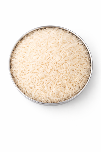 Rice Fields
